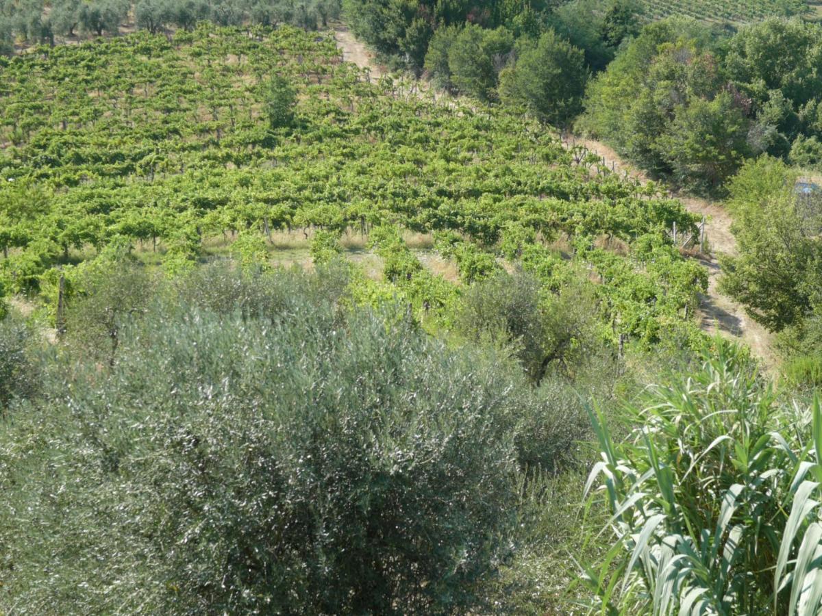 Agriturismo Santa Croce San Gimignano Luaran gambar